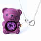 Ours Eternel & Collier Personnalisé